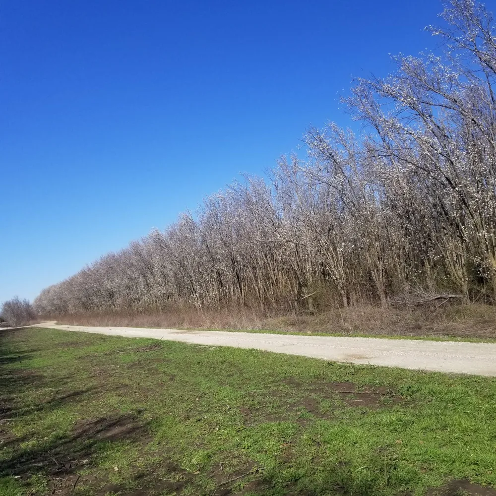 FM 697 Sherman, TX 75090