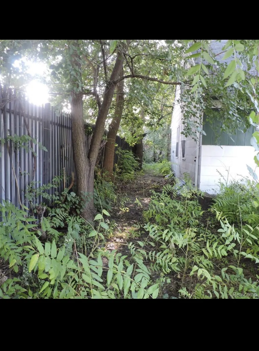 20506 Revere Street Detroit, MI 48234