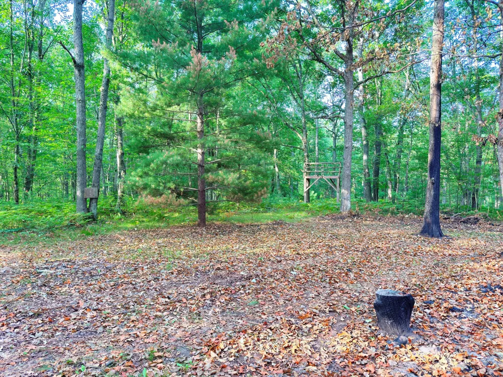2679 S State Chase, MI 49623