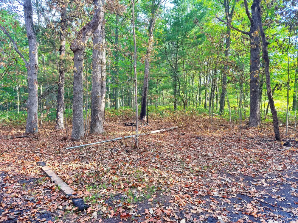 2679 S State Chase, MI 49623