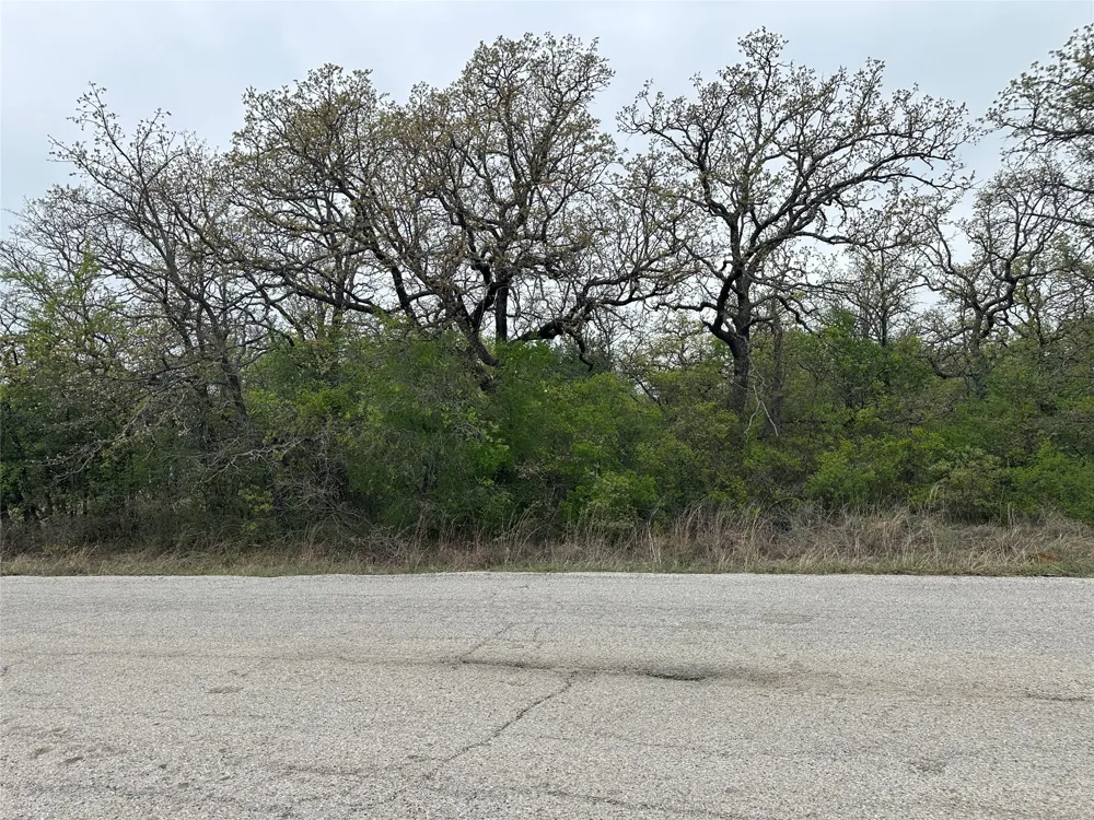 Jim Walters Drive Runaway Bay, TX 76426