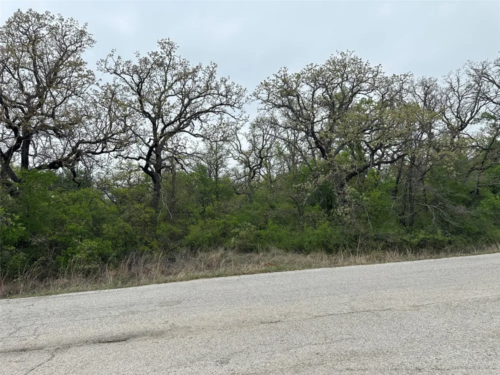 Jim Walters Drive Runaway Bay, TX 76426