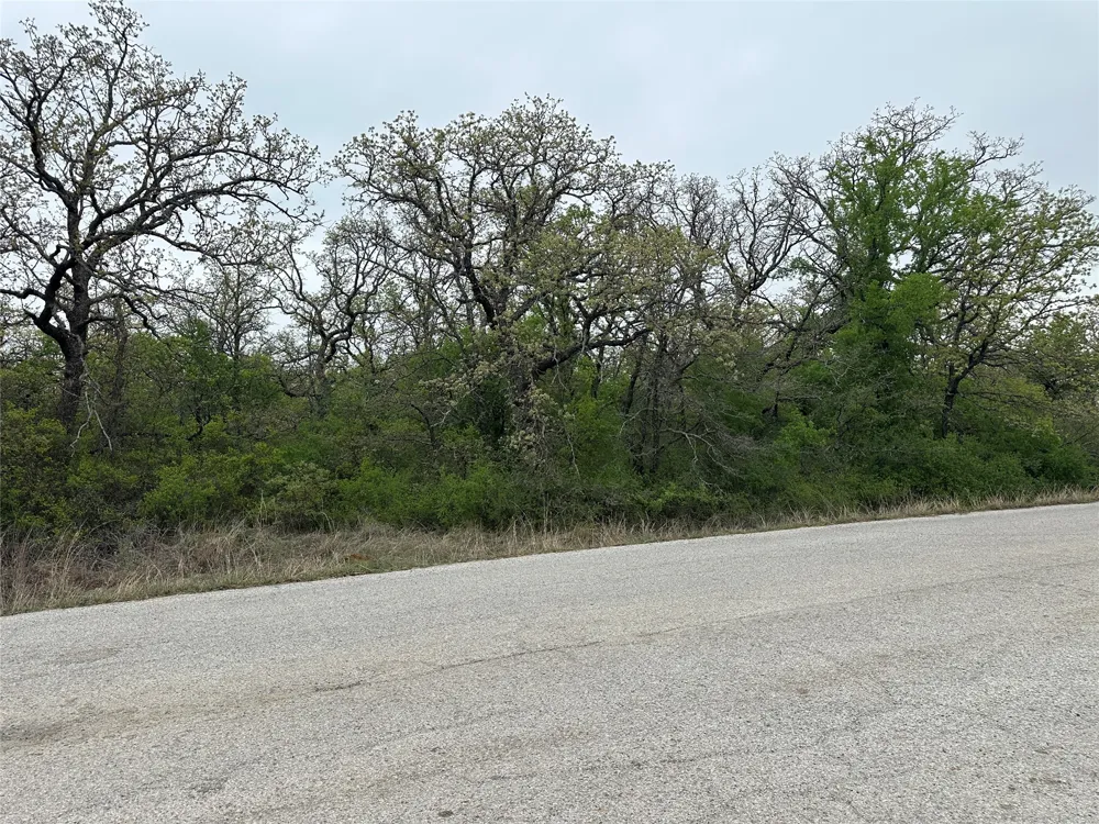 Jim Walters Drive Runaway Bay, TX 76426