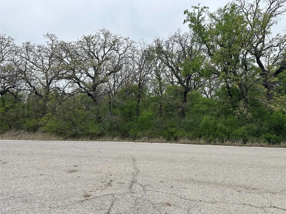Jim Walters Drive Runaway Bay, TX 76426
