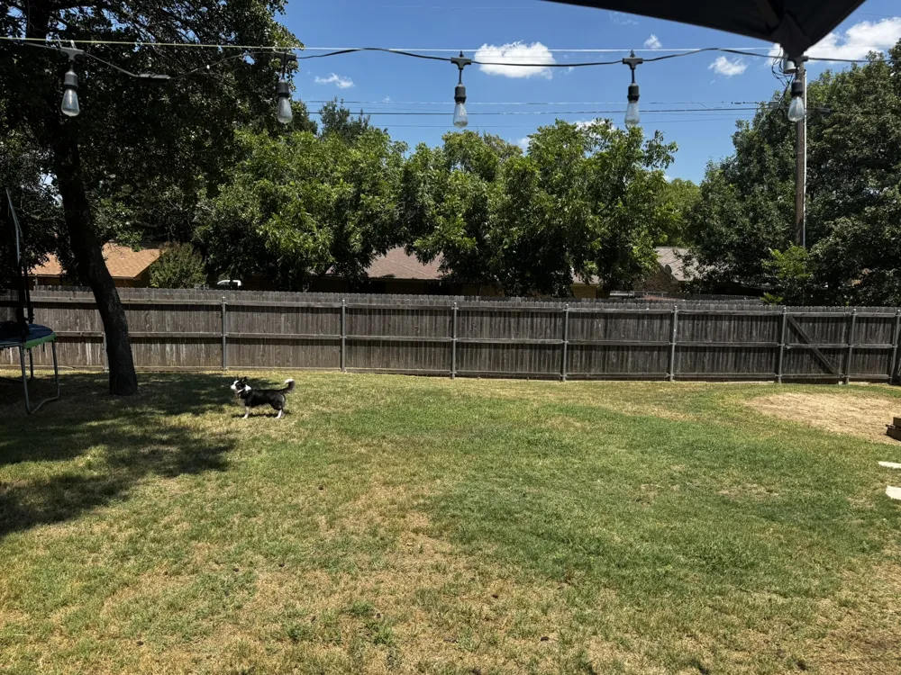 1449 Oakwood Drive Stephenville, TX 76401