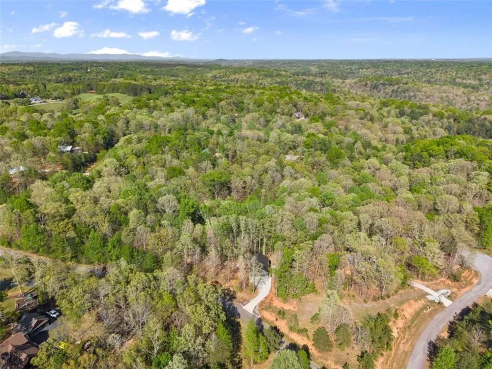 162 Hickory Ridge Drive Cleveland, GA 30528