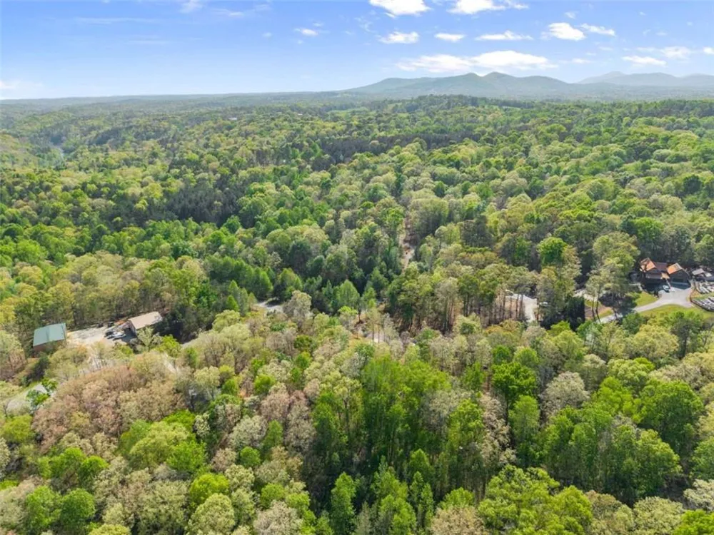 162 Hickory Ridge Drive Cleveland, GA 30528