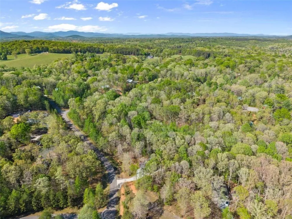 162 Hickory Ridge Drive Cleveland, GA 30528