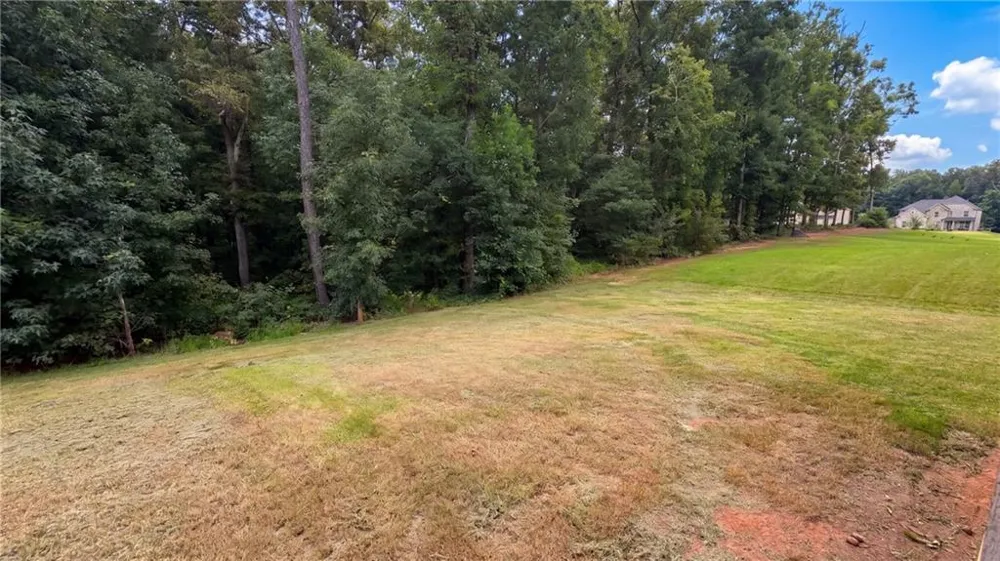 321 Basel Way Hampton, GA 30228