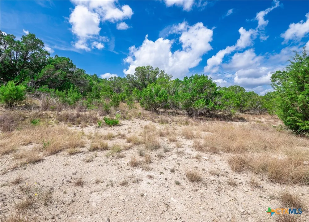 646 Appaloosa Drive Fischer, TX 78623