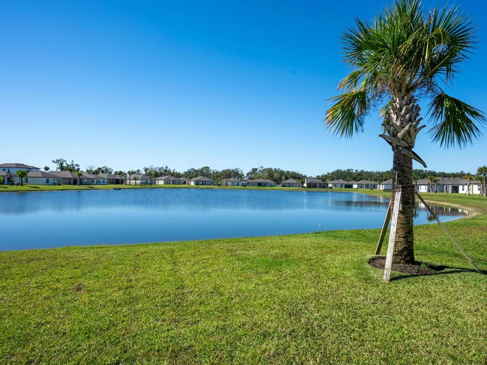 9975 LAST LIGHT GLEN Parrish, FL 34219