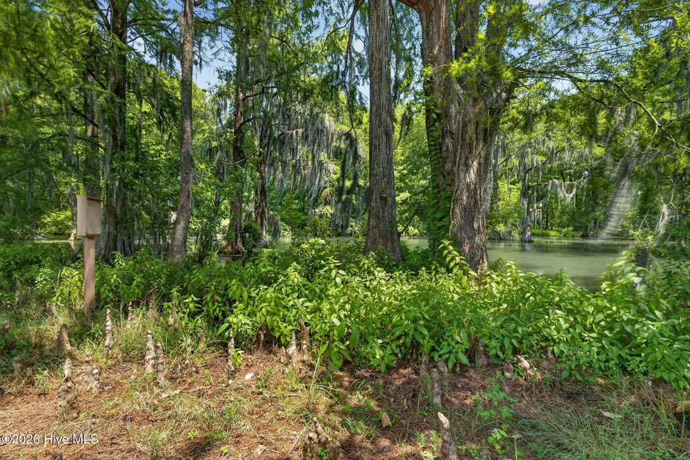 265 Iris Way Hampstead, NC 28443