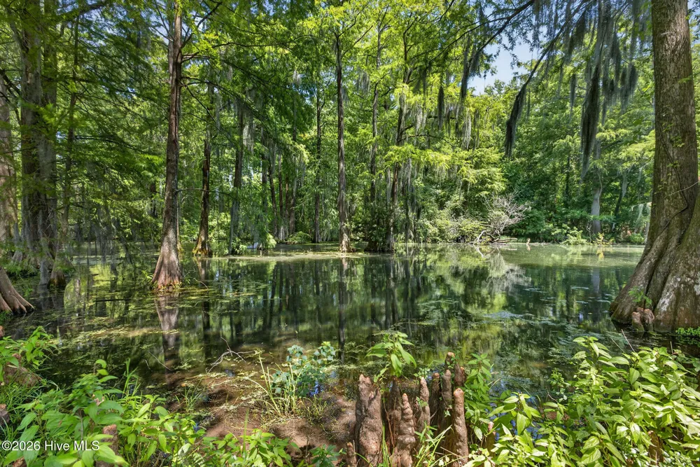 265 Iris Way Hampstead, NC 28443