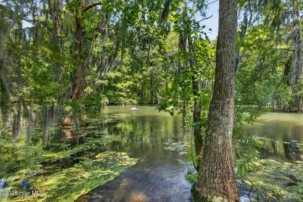 265 Iris Way Hampstead, NC 28443