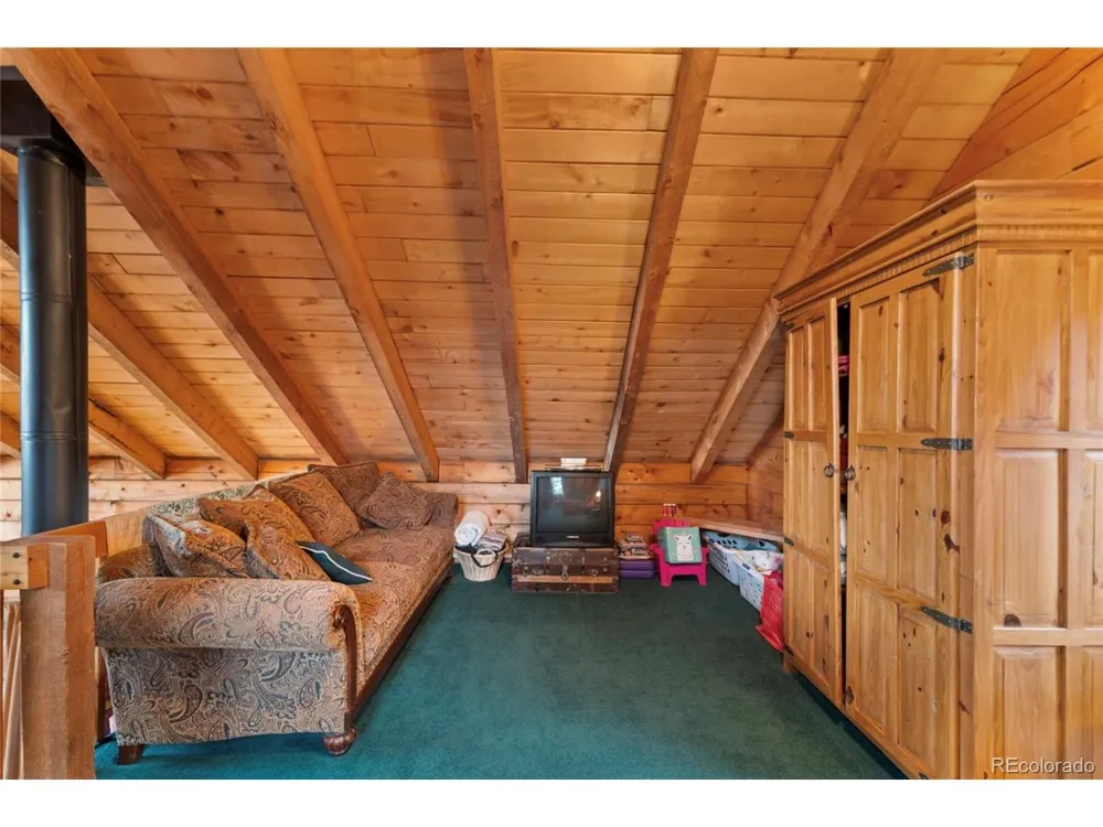 2578 Redhill Road Fairplay, CO 80440