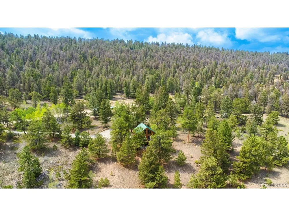 2578 Redhill Road Fairplay, CO 80440