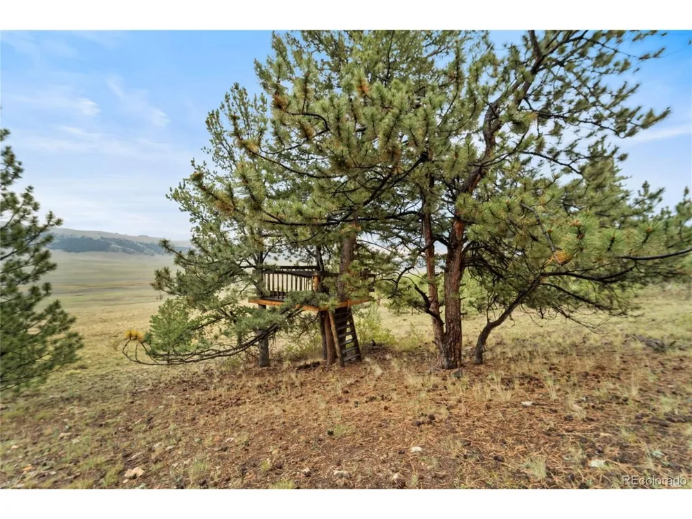 2578 Redhill Road Fairplay, CO 80440
