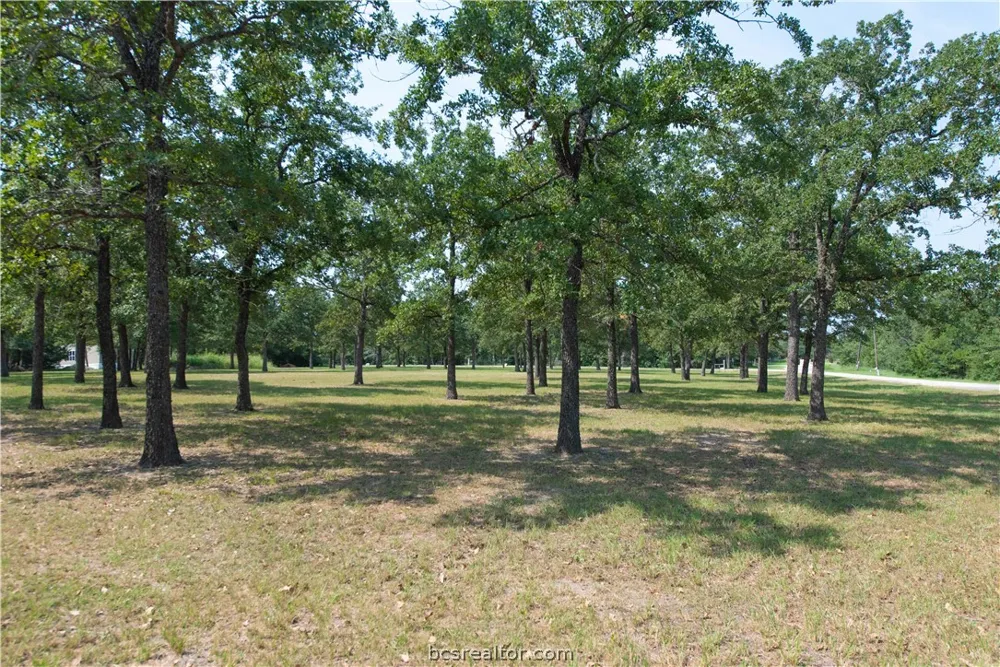 2 Overlook Drive Caldwell, TX 77836