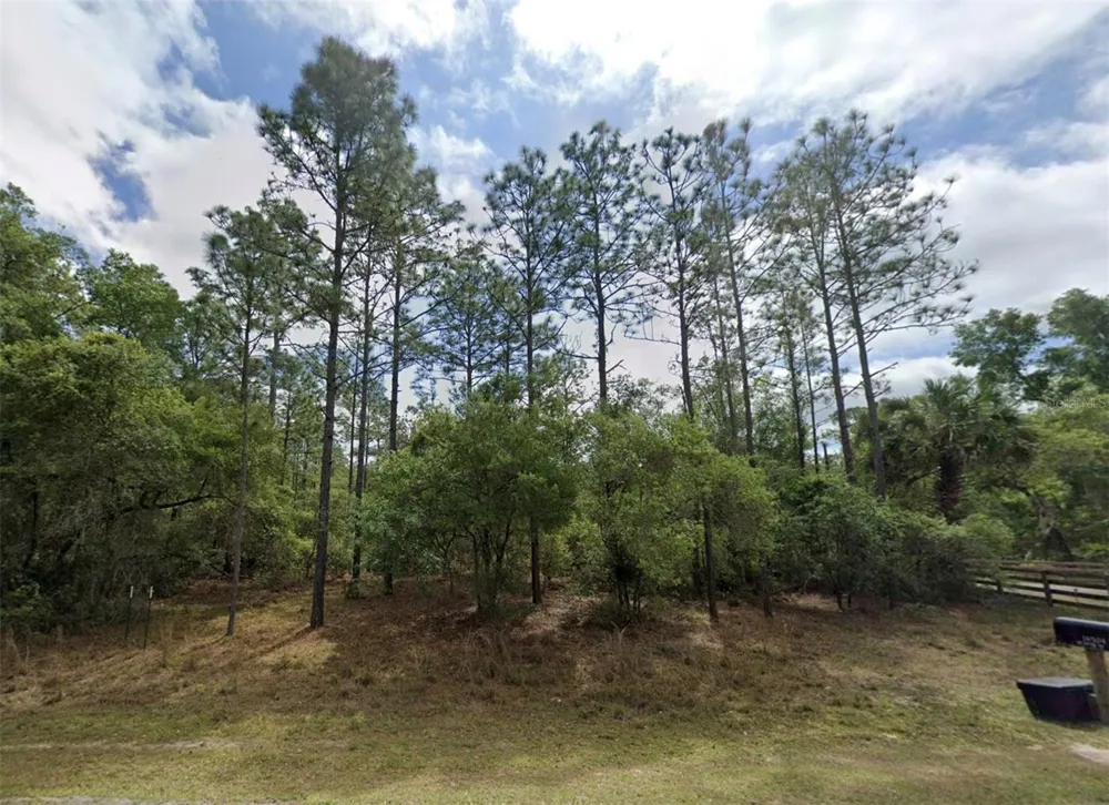 Lot 1 NE 127TH STREET Fort Mc Coy, FL 32134
