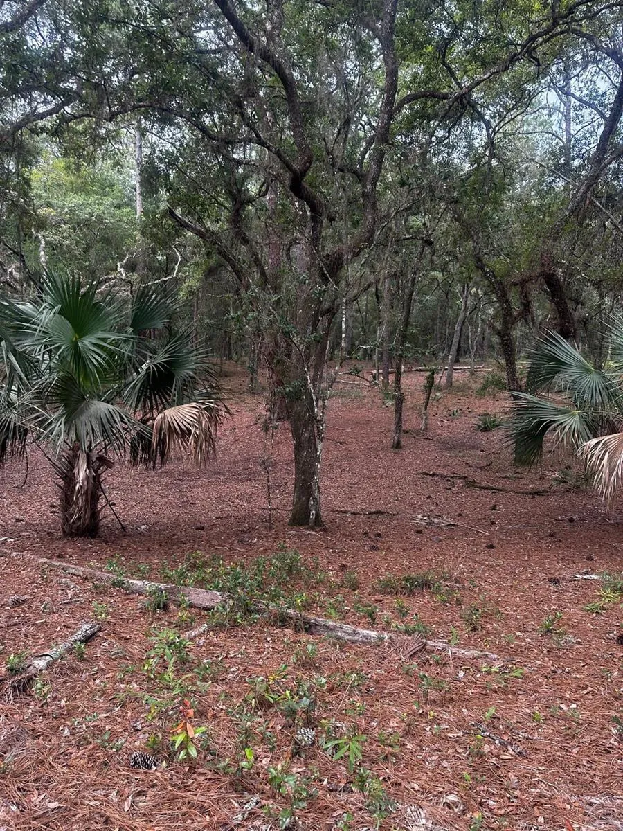Lot 1 NE 127TH STREET Fort Mc Coy, FL 32134