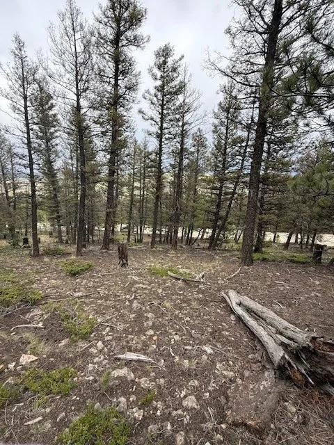 2689 Redhill Road