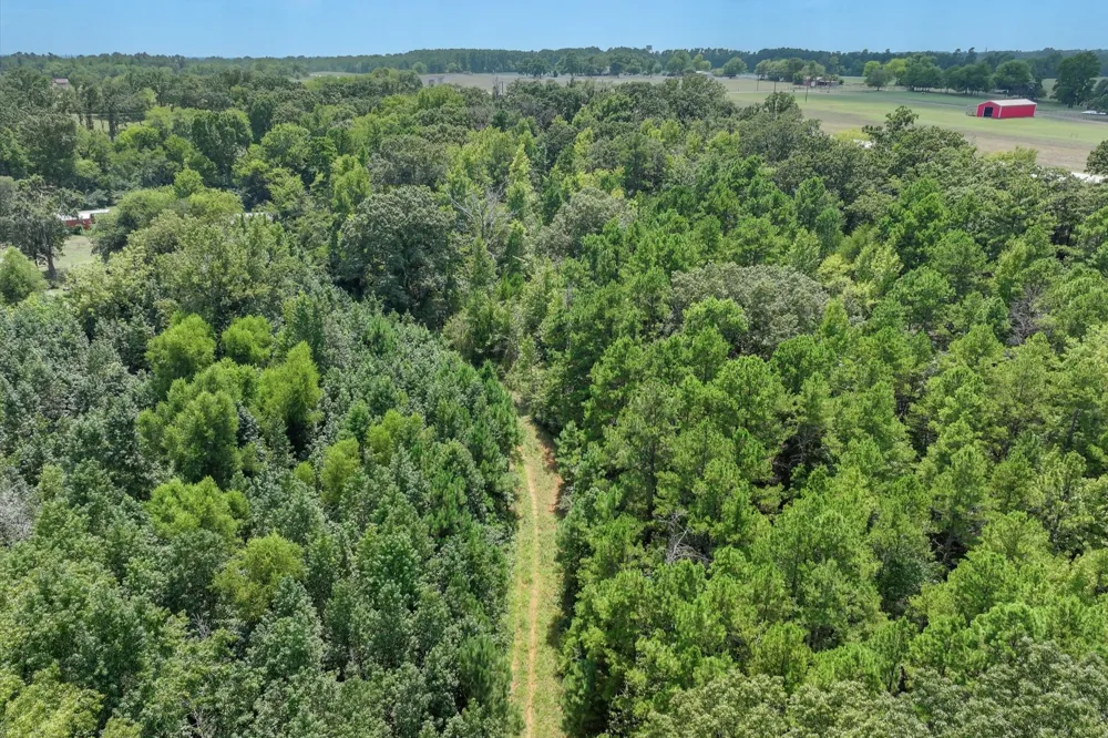 15307 Fm 849 Lindale, TX 75771
