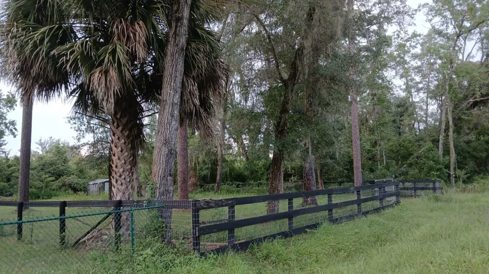 NW 3RD ST. ocala, FL 34482