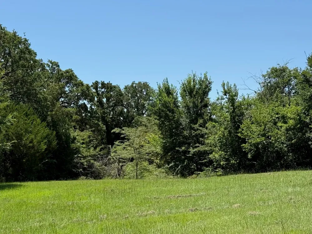 52 Coyote Creek Drive Gordonville, TX 76245