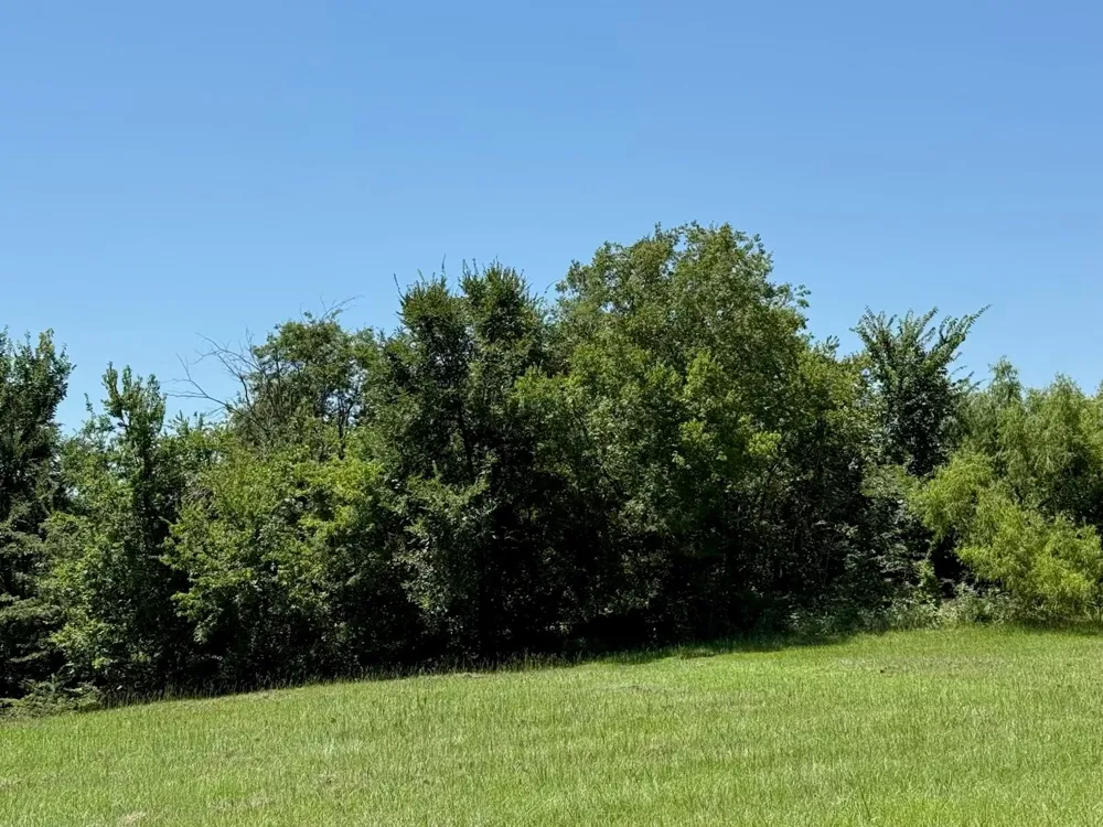 52 Coyote Creek Drive Gordonville, TX 76245