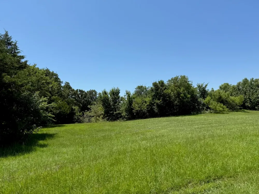 52 Coyote Creek Drive Gordonville, TX 76245