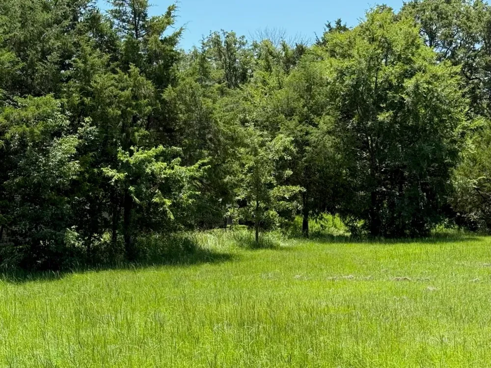 52 Coyote Creek Drive Gordonville, TX 76245