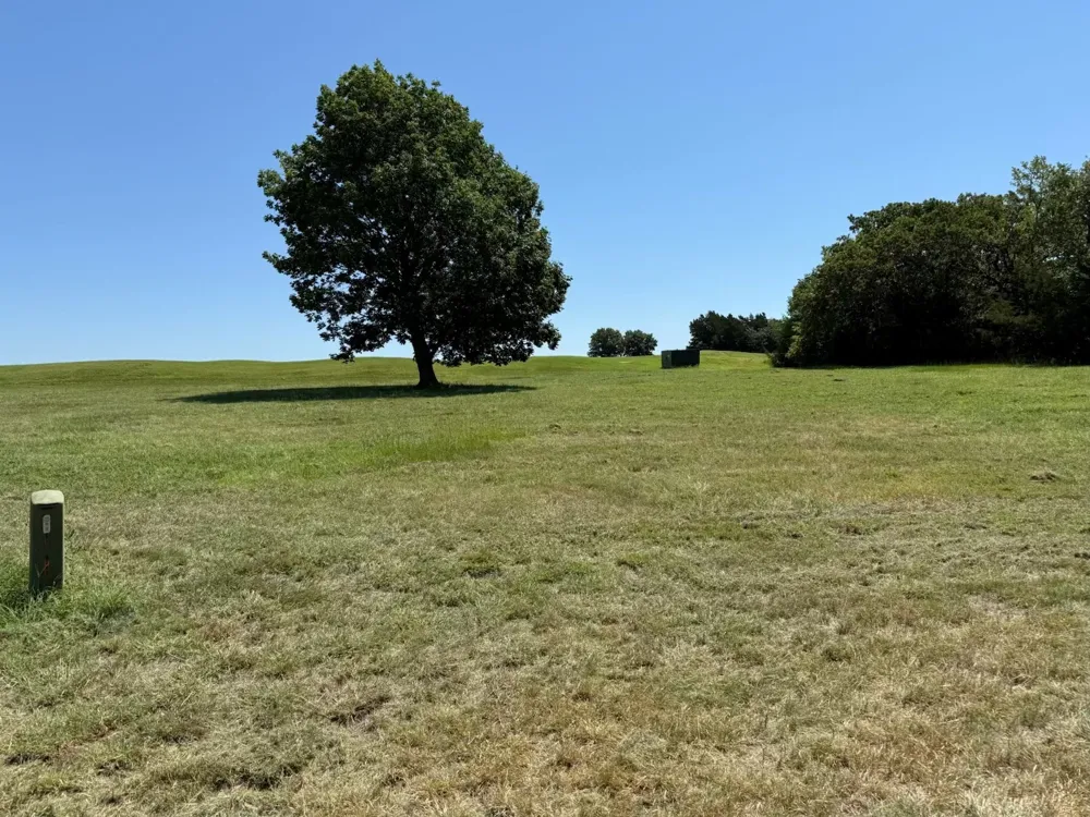 44 Dublin Court Gordonville, TX 76245