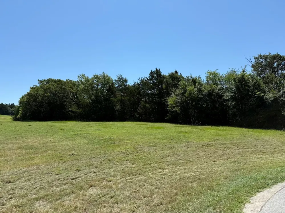 44 Dublin Court Gordonville, TX 76245