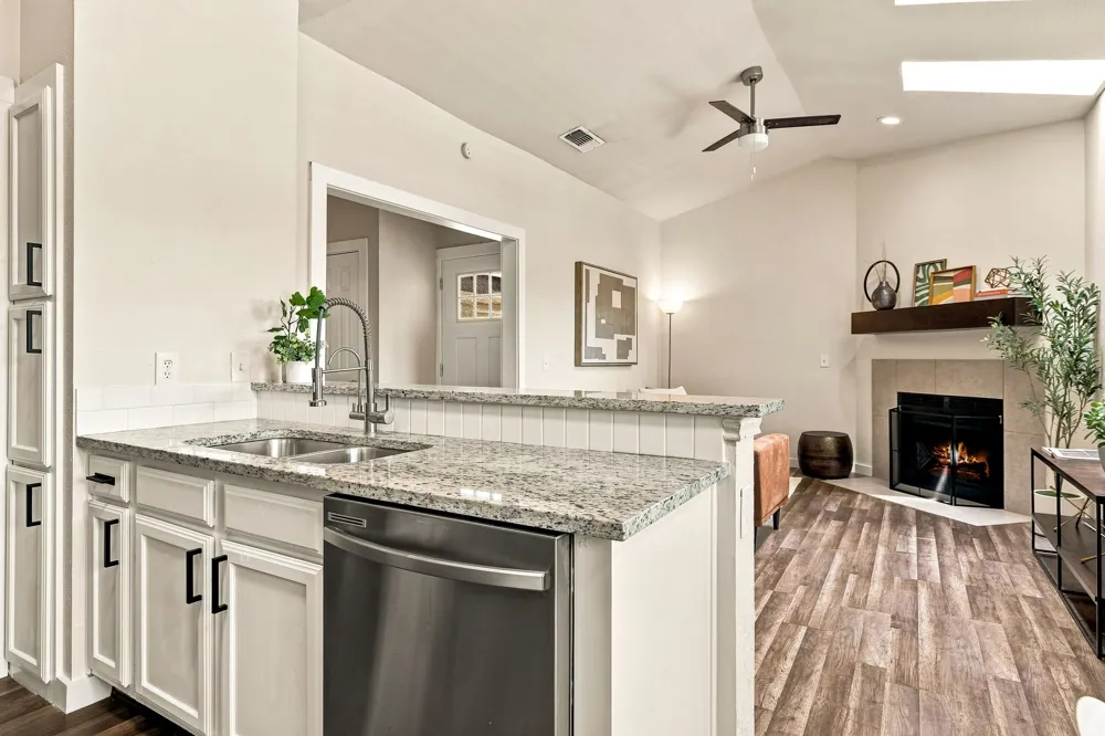 7340 Skillman Street #1217 Dallas, TX 75231