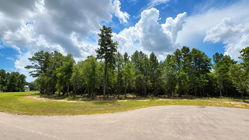 7625 Trinity Pines Dr Montgomery, TX 77316