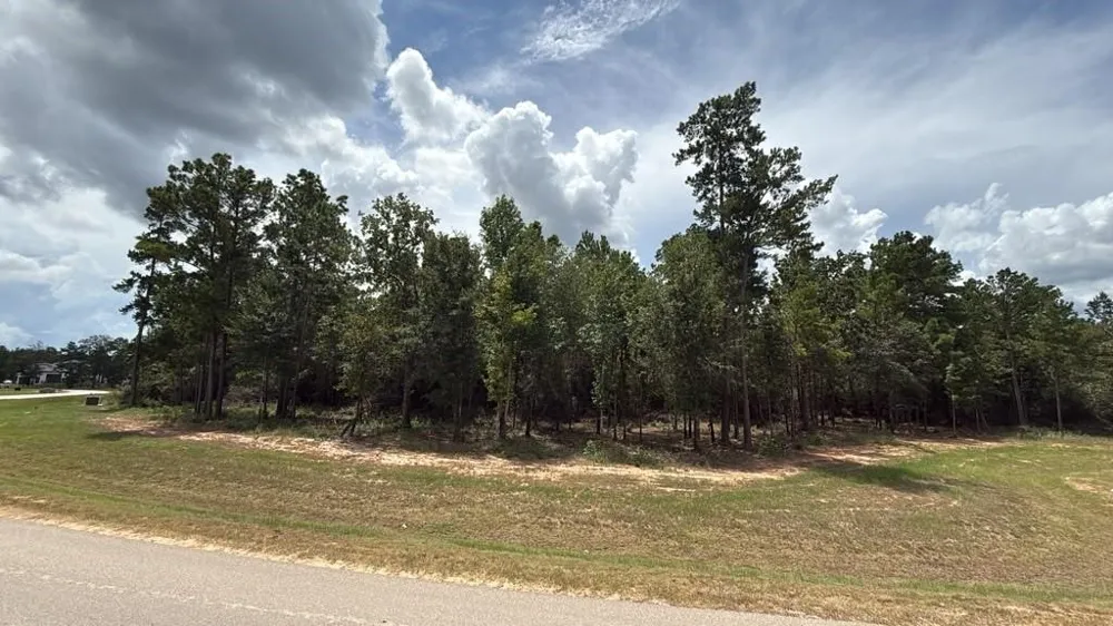 7625 Trinity Pines Dr Montgomery, TX 77316