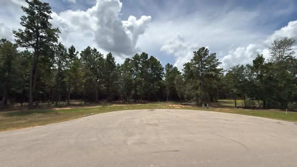 7625 Trinity Pines Dr Montgomery, TX 77316