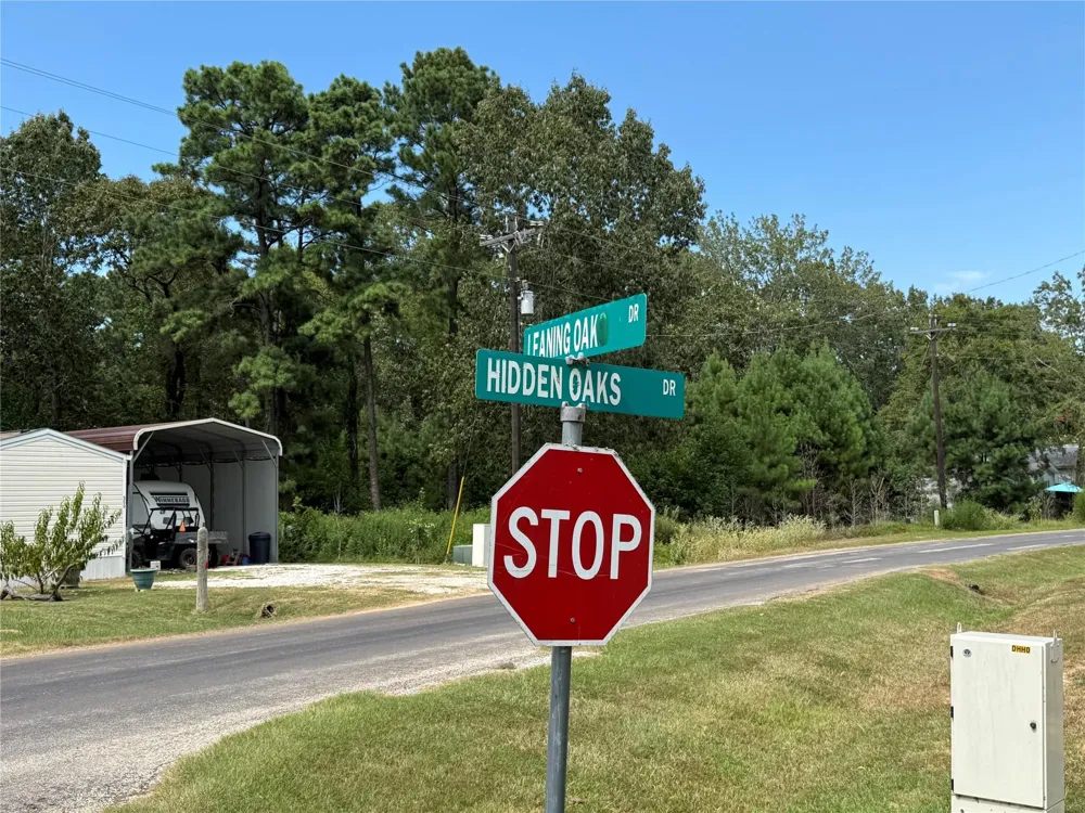 10 Leaning Oak Drive Point Blank, TX 77364