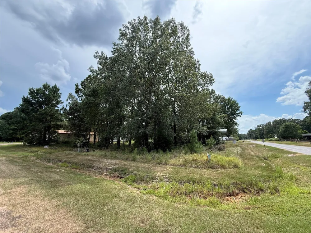 10 Leaning Oak Drive Point Blank, TX 77364