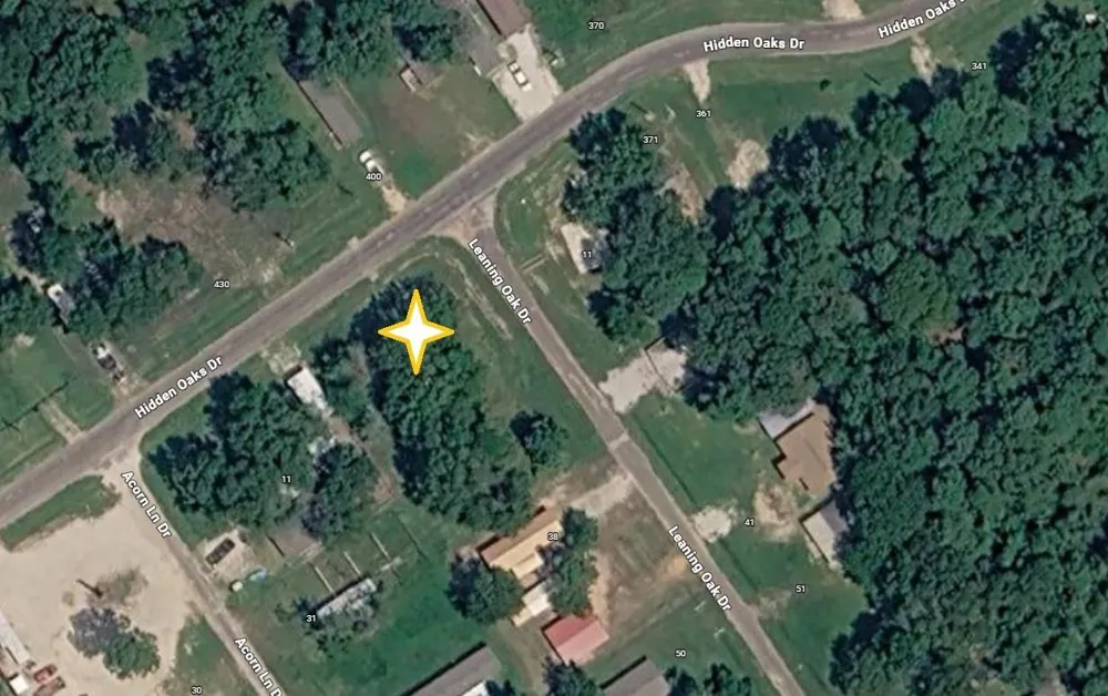 10 Leaning Oak Drive Point Blank, TX 77364