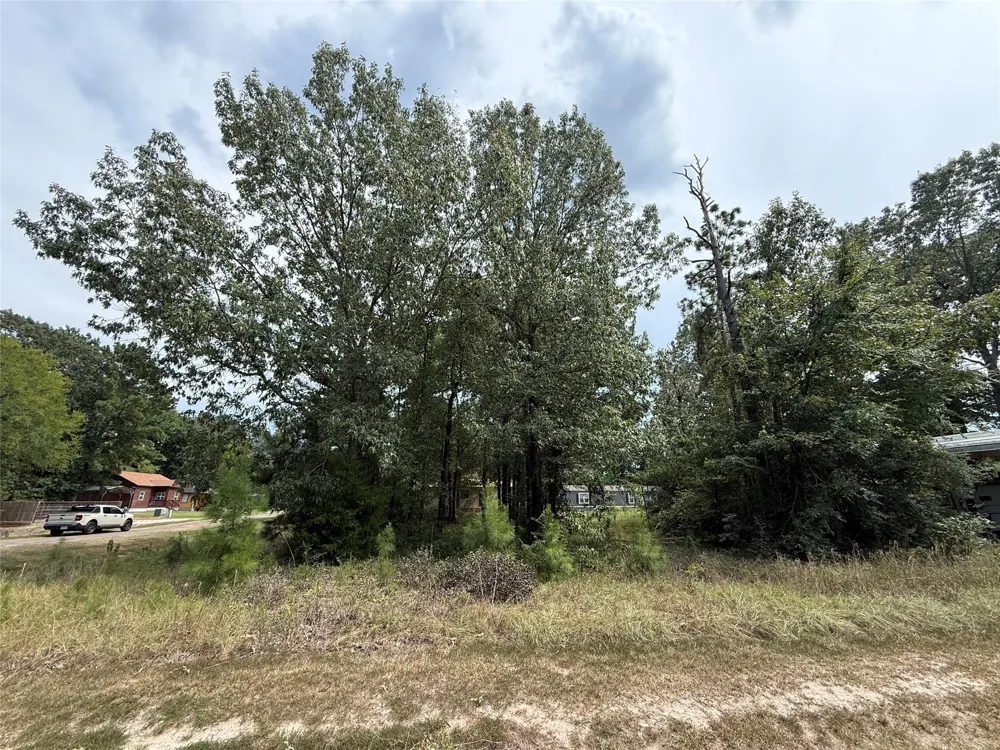 10 Leaning Oak Drive Point Blank, TX 77364