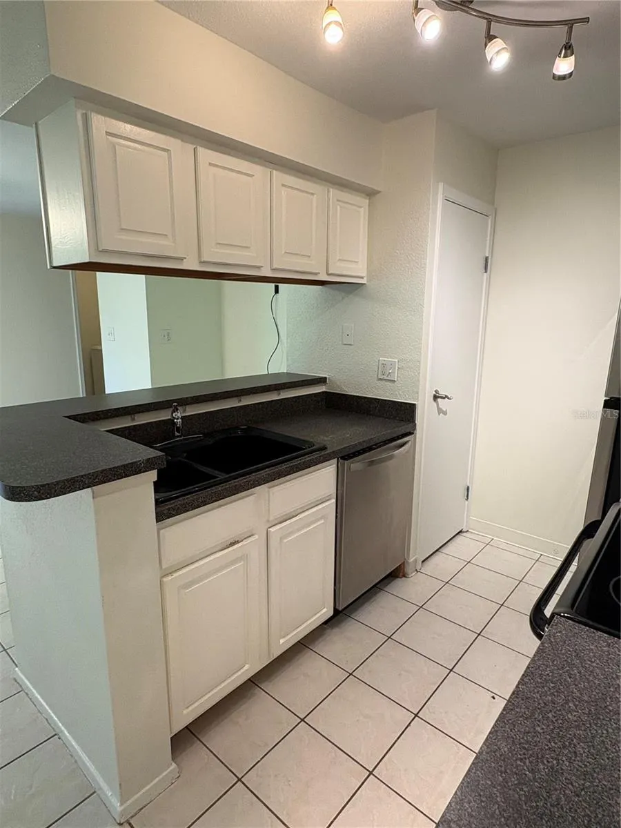 9100 DR MARTIN LUTHER KING JR STREET #1707 St Petersburg, FL 33702