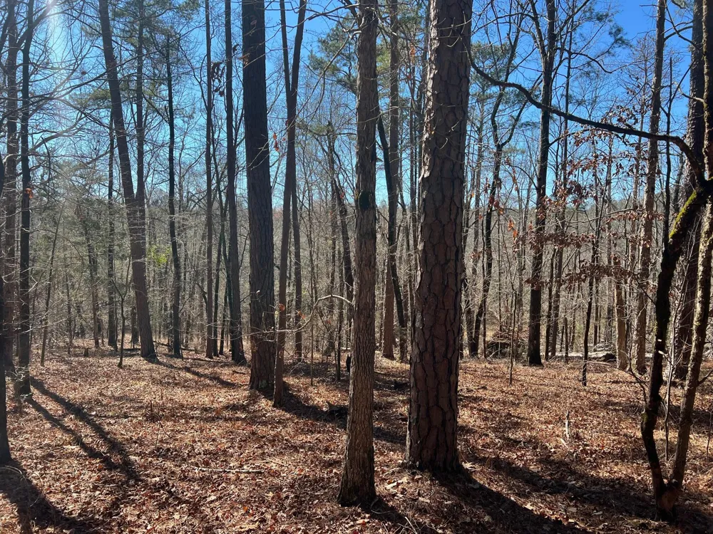 2369 Pine Ridge Drive Appling, GA 30802