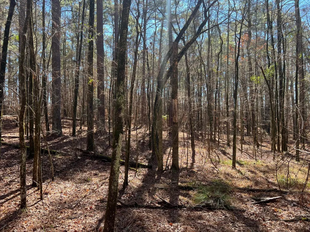 2369 Pine Ridge Drive Appling, GA 30802