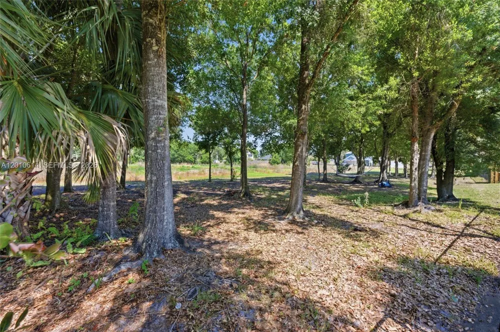 3117 SW Solitaire Palm Dr Palm City, FL 34990