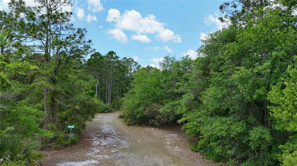 1389 SHIPWRECK LANE St Cloud, FL 34771