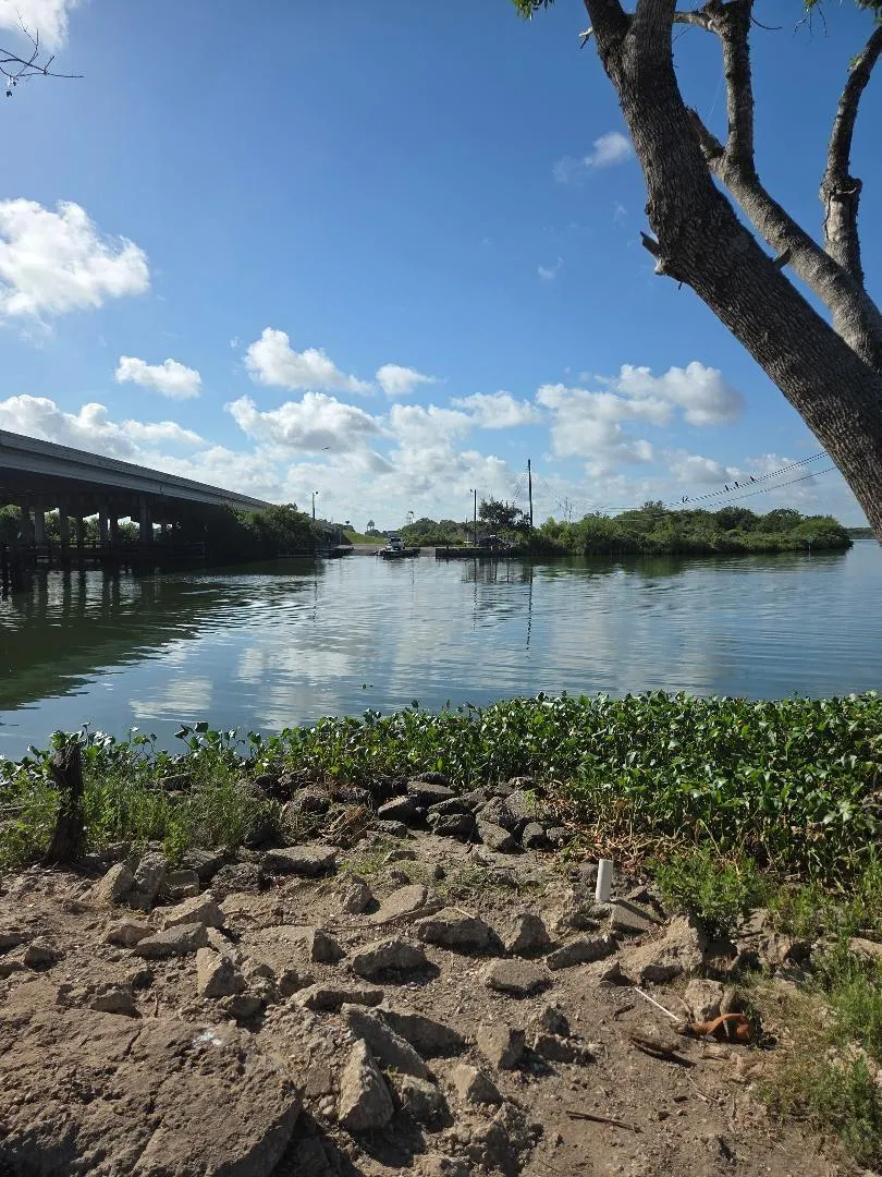 18800 Egret Bay Boulevard #1009 Webster, TX 77058