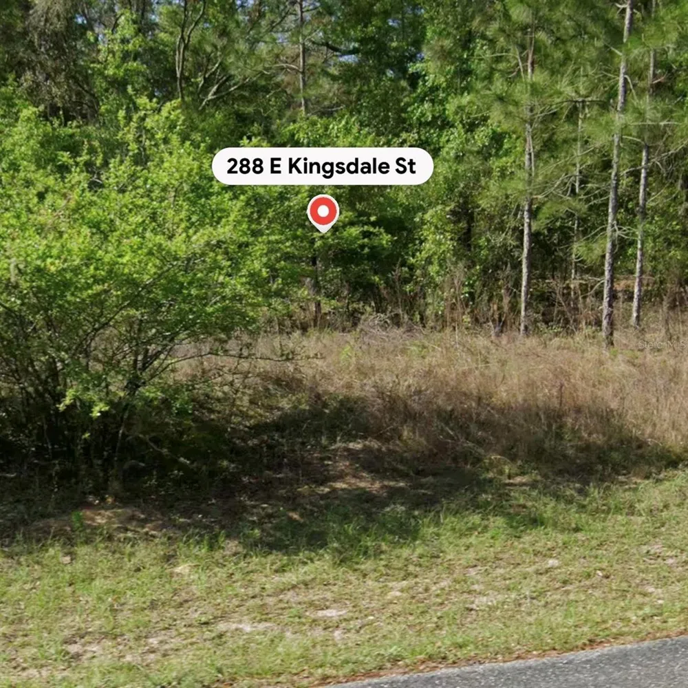 288 E KINGSDALE STREET Citrus Springs, FL 34434