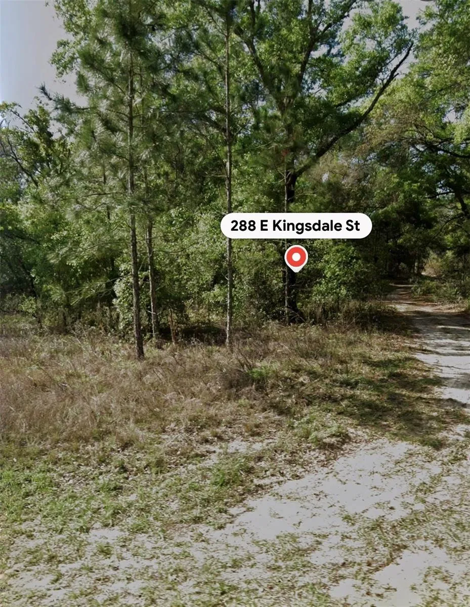 288 E KINGSDALE STREET Citrus Springs, FL 34434