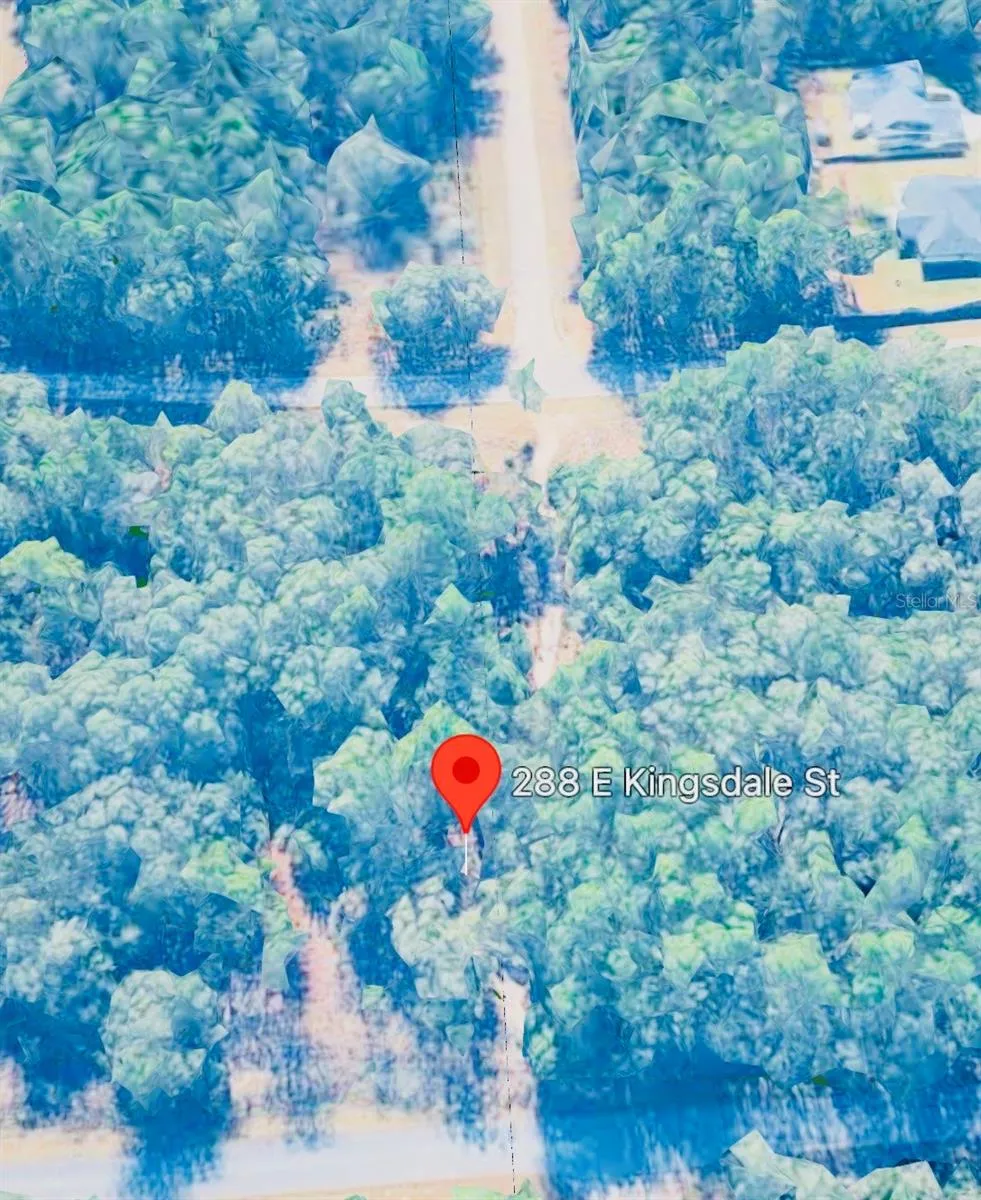 288 E KINGSDALE STREET Citrus Springs, FL 34434